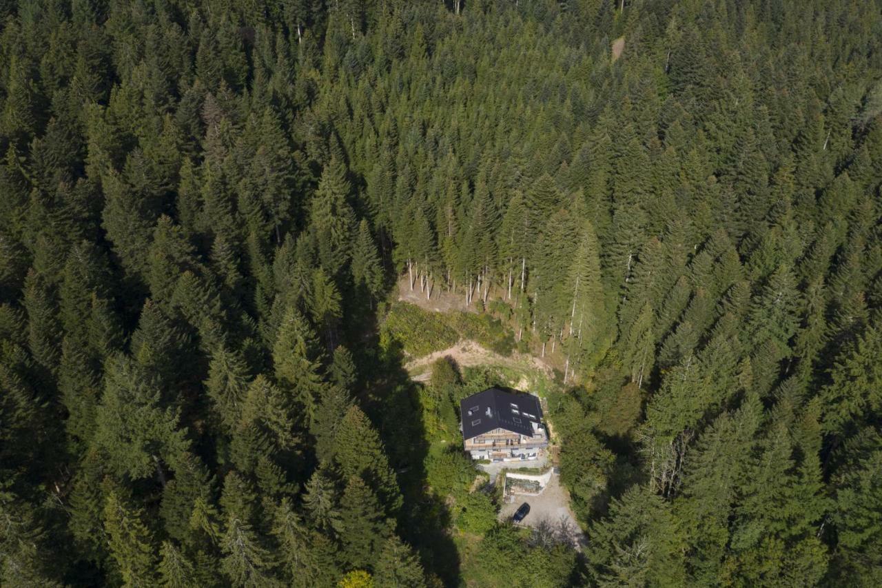 Schweizerhaus Villa Alpirsbach Bagian luar foto