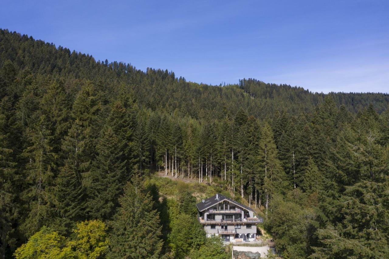 Schweizerhaus Villa Alpirsbach Bagian luar foto