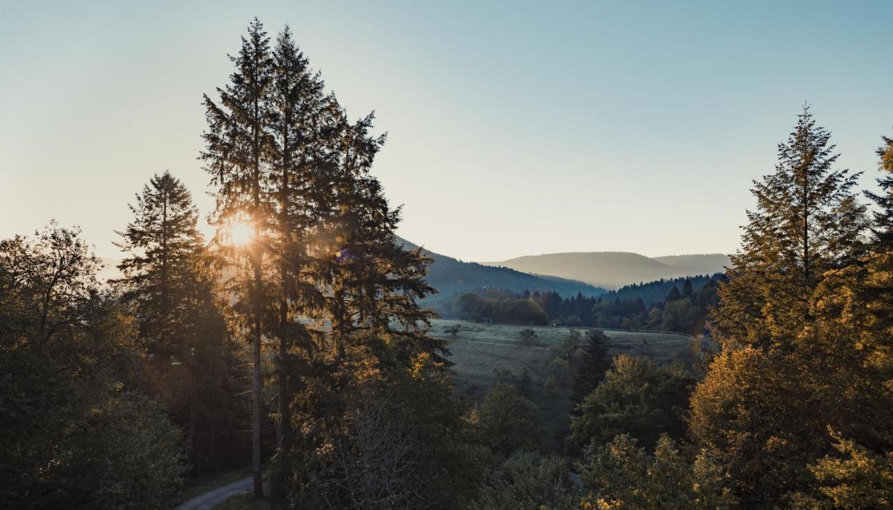 Schweizerhaus Villa Alpirsbach Bagian luar foto