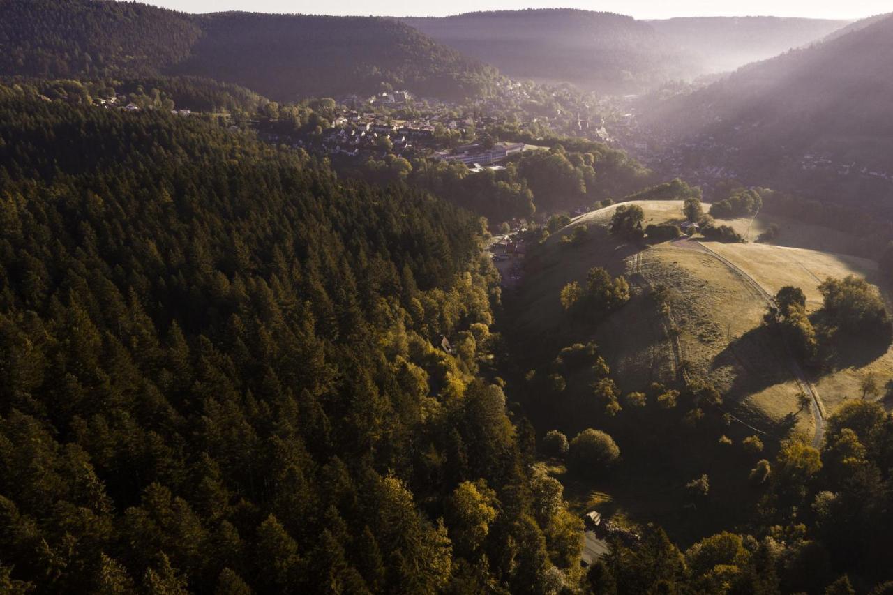 Schweizerhaus Villa Alpirsbach Bagian luar foto